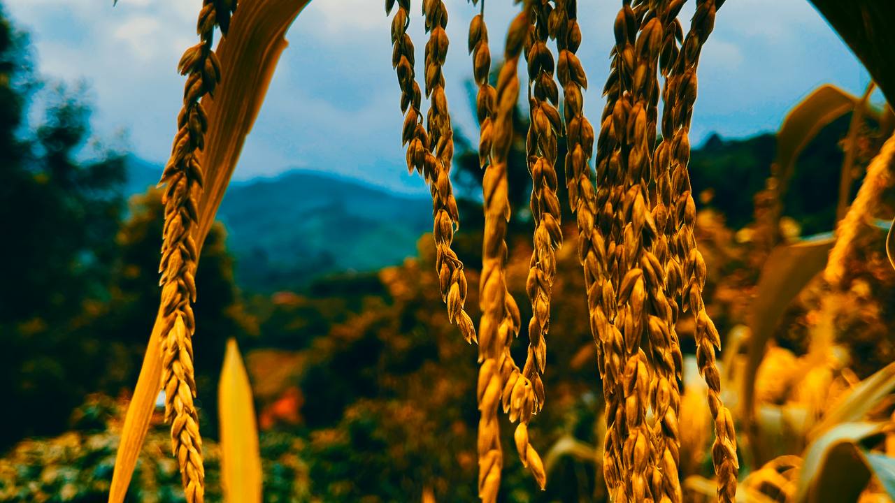 Teal & Orange after colour grade